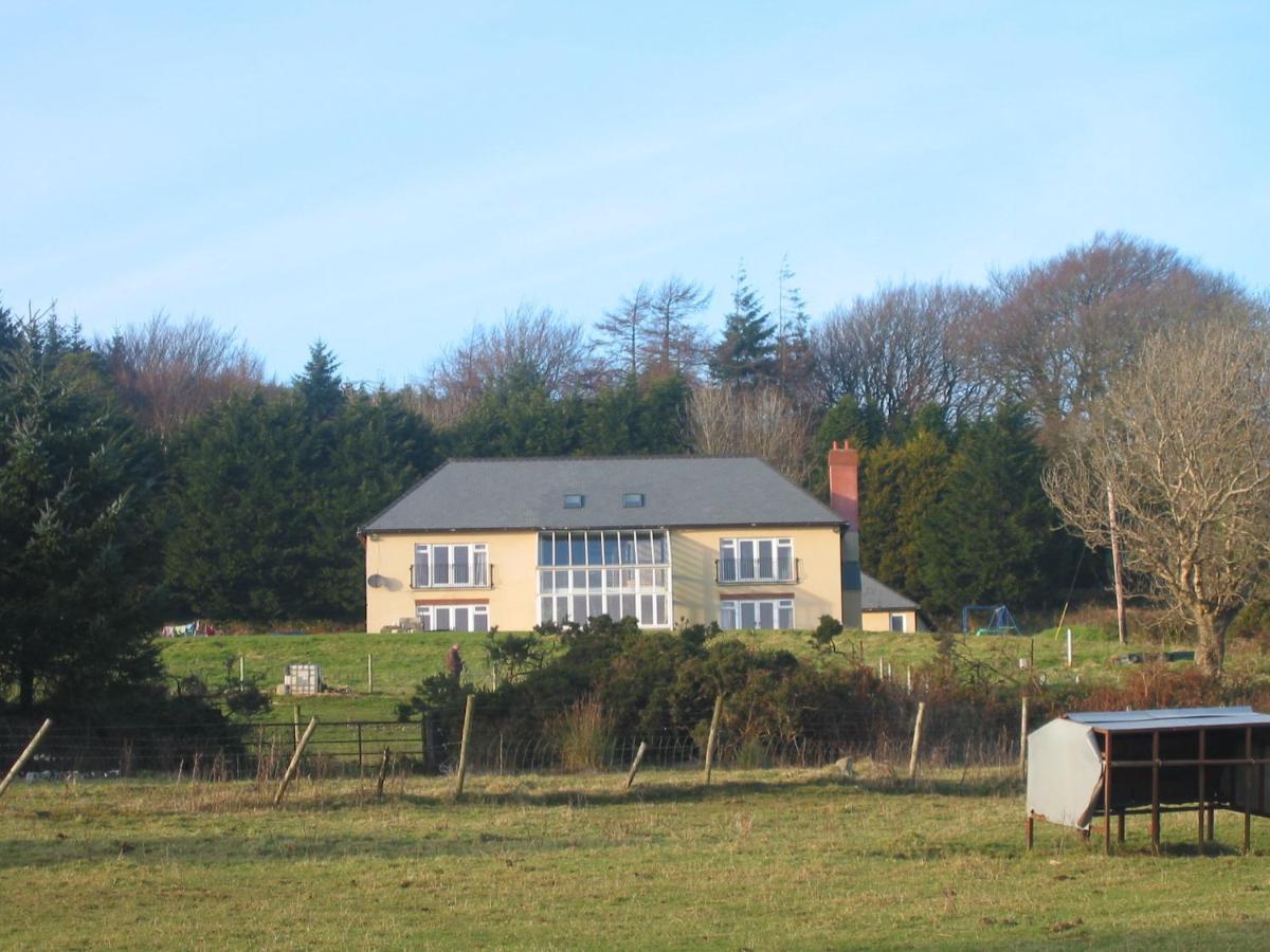 Bed and Breakfast The Dales Gorey Esterno foto