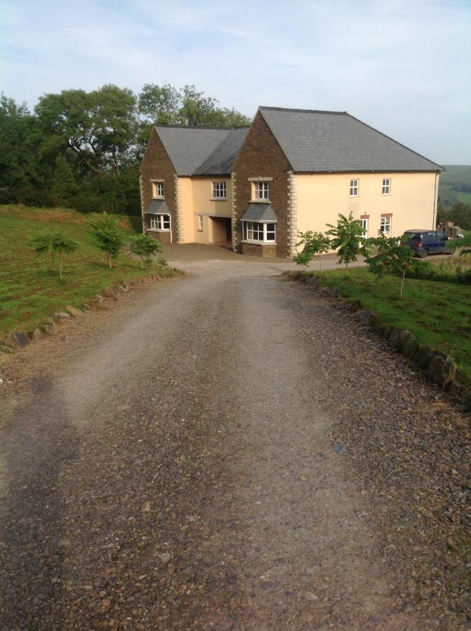 Bed and Breakfast The Dales Gorey Esterno foto